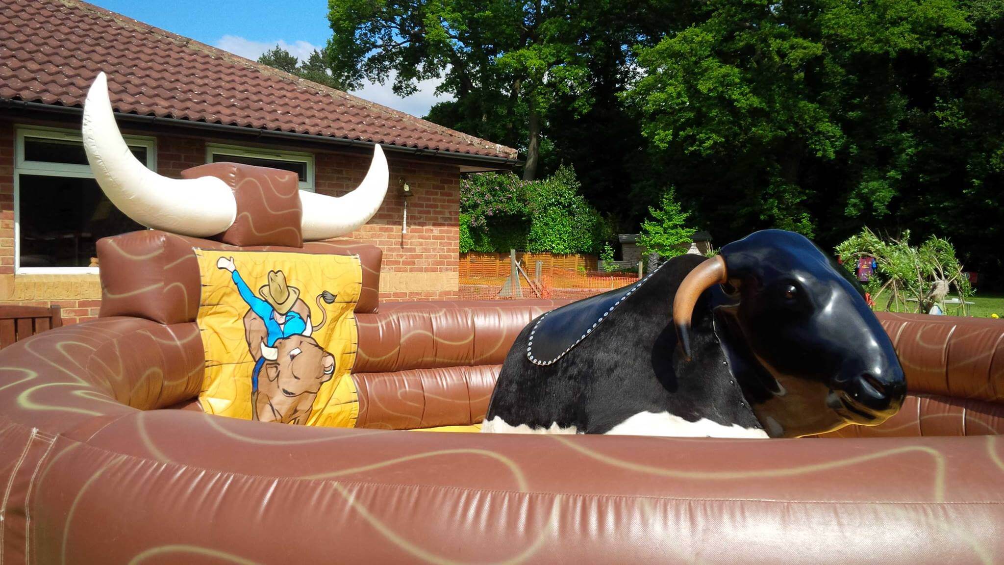 bull riding hire